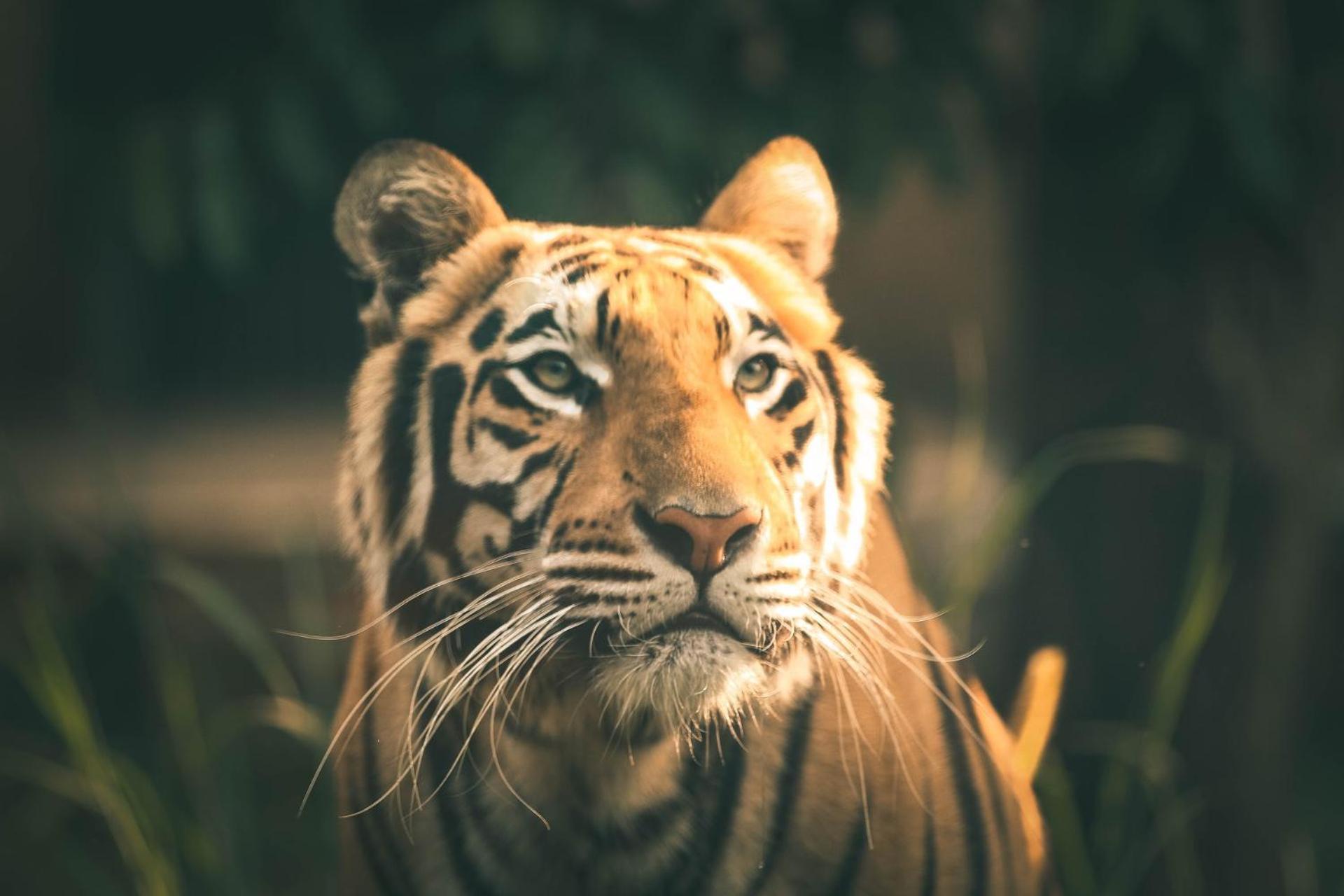 Abhiram Homestay Khajurāho Exteriér fotografie